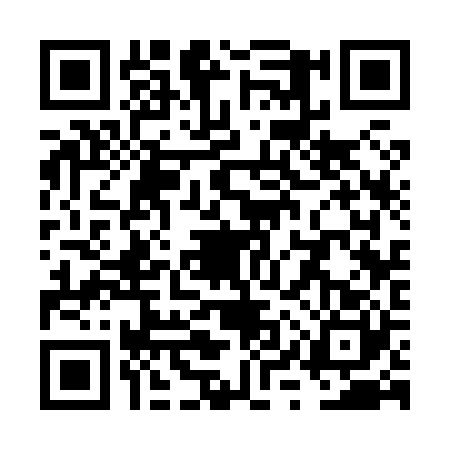 QR code for VYS8203