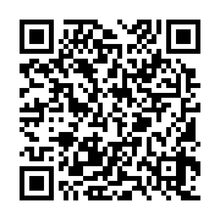 QR code for VZM338