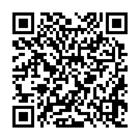 QR code for VZO376