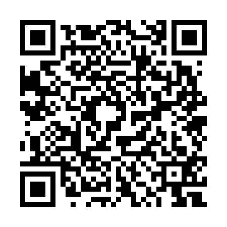 QR code for VZO6137
