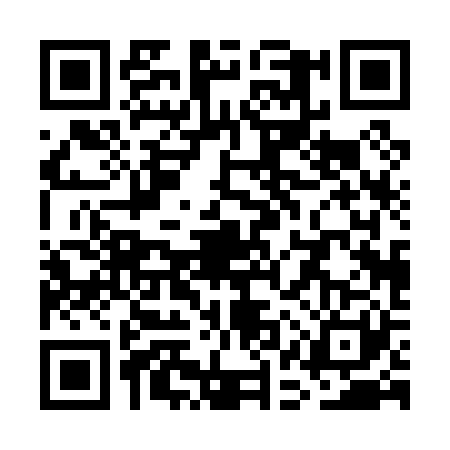 QR code for WAP0217