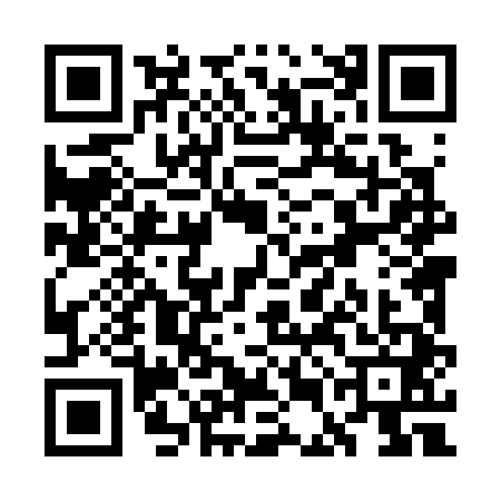 QR code for WEL3419