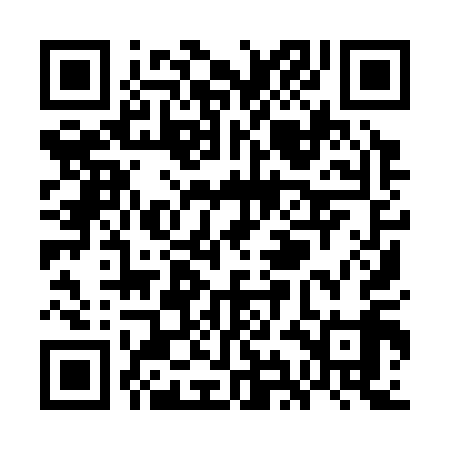 QR code for WII319