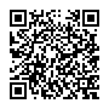 QR code for WIP0711