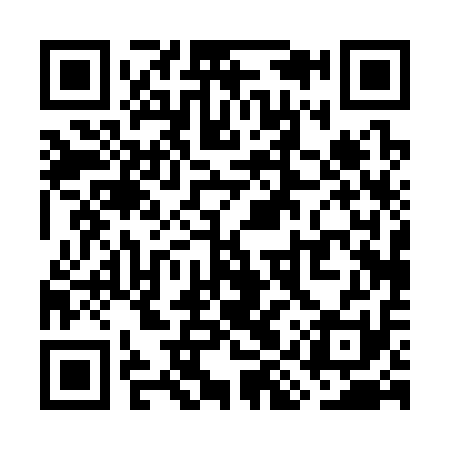 QR code for WIP311