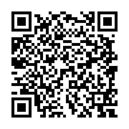 QR code for WJX4919