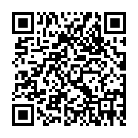QR code for WLR295