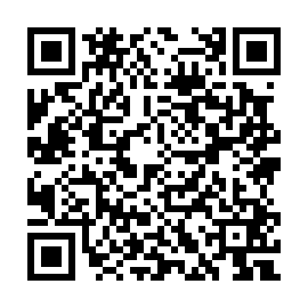 QR code for WLY0417