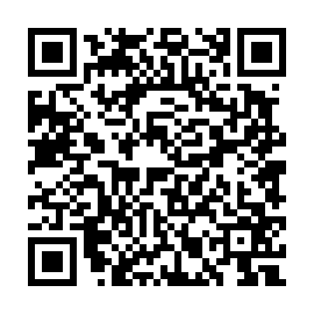 QR code for WMT4667