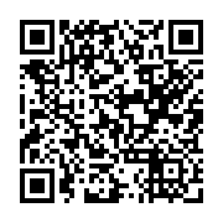 QR code for WNO333