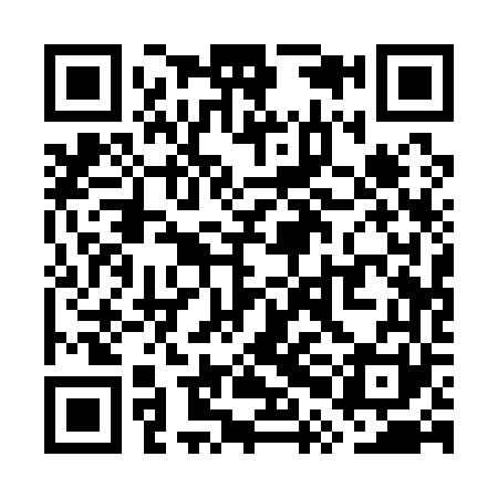 QR code for WPA161