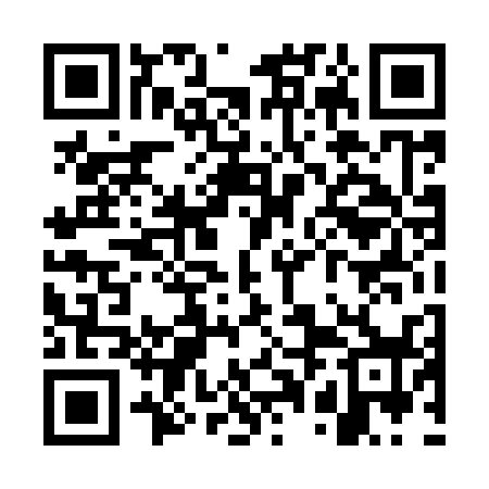 QR code for WPD938