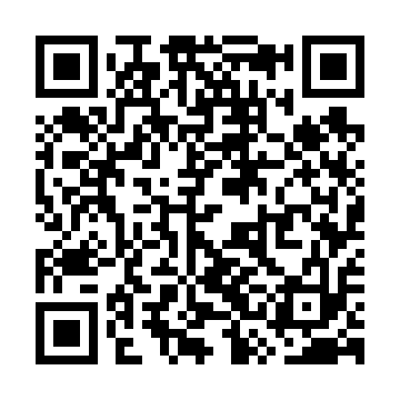 QR code for WSG613