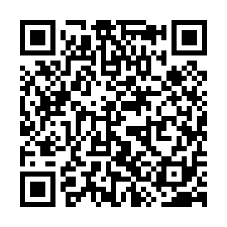 QR code for WSI011