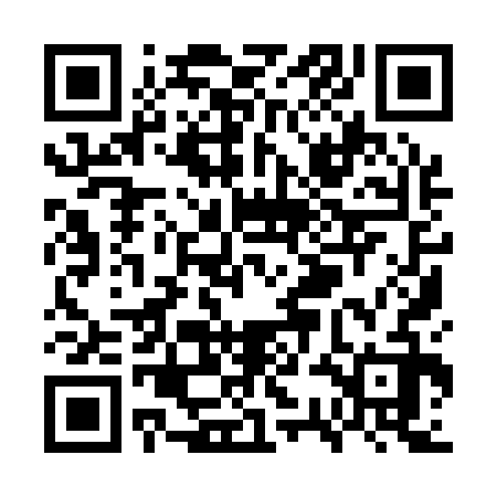 QR code for WSI132