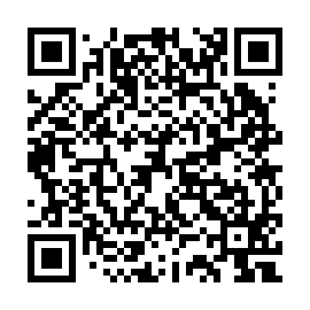 QR code for WSS295