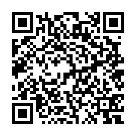 QR code for WSW0313