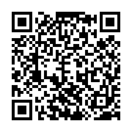 QR code for WWW493