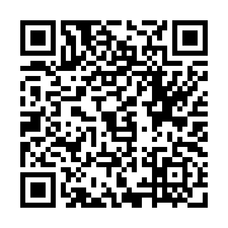 QR code for WYI2991