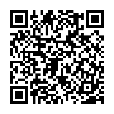QR code for WYQ1733
