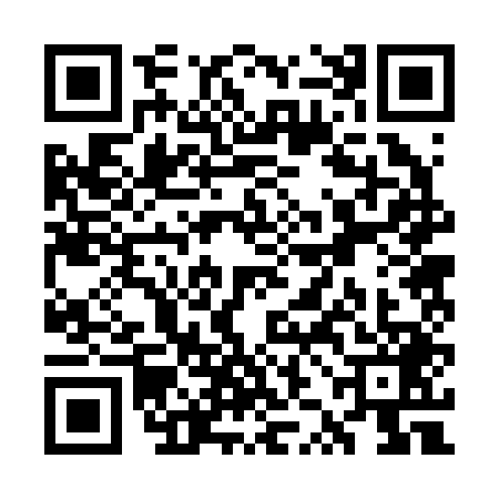 QR code for WZB2493