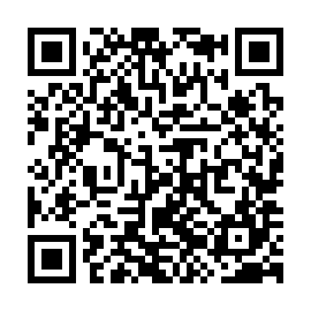 QR code for WZN384