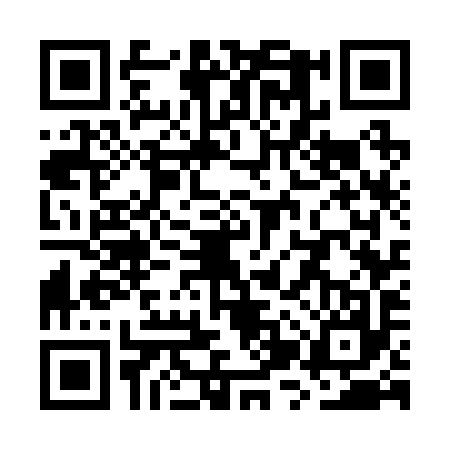 QR code for WZW2977