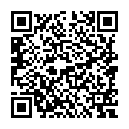 QR code for WZX9913