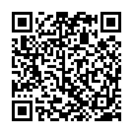 QR code for WZZ513
