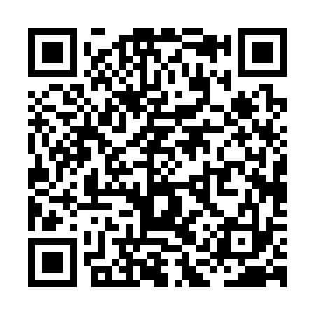QR code for XAP333