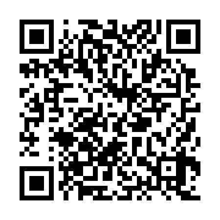 QR code for XAP338