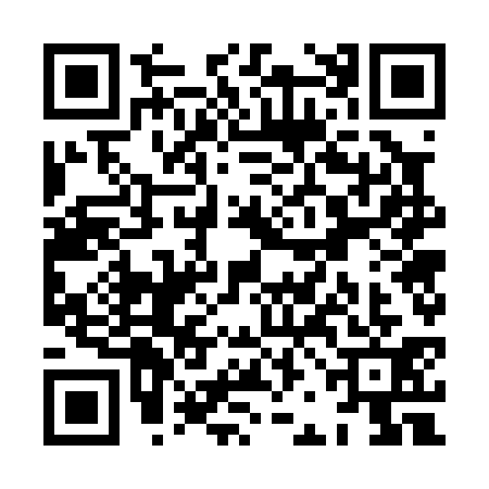 QR code for XBG0316