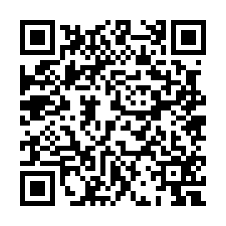 QR code for XBZ0161