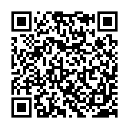 QR code for XCF397