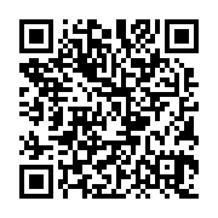 QR code for XDE225