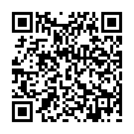 QR code for XDE249