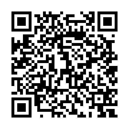 QR code for XDG0246