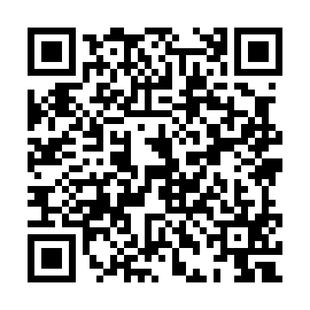 QR code for XDI0950