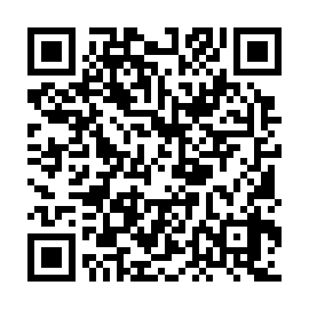 QR code for XDM338