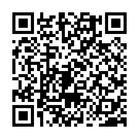 QR code for XEF0393