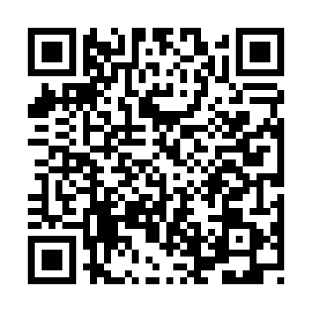 QR code for XFD0411