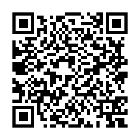 QR code for XFI8313