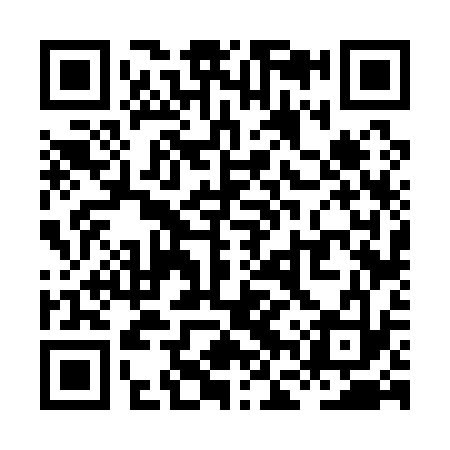 QR code for XFV133