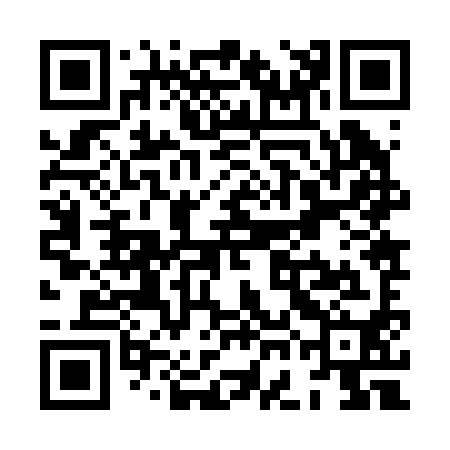 QR code for XGJ290