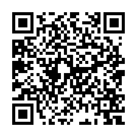 QR code for XGX3676