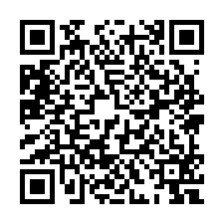 QR code for XHI3966