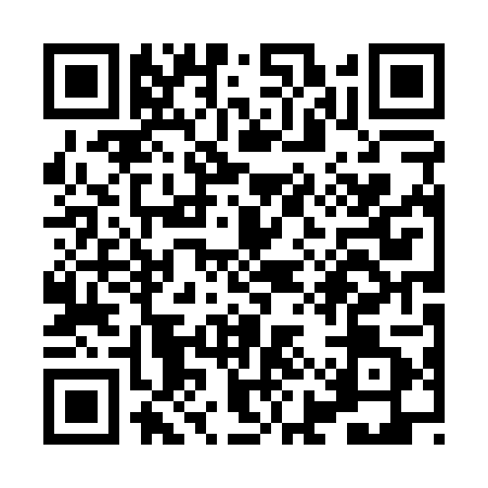 QR code for XIP0013