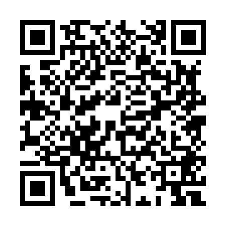 QR code for XIP8487