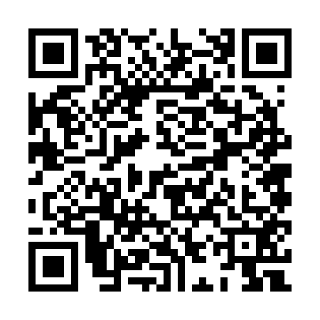QR code for XIV2528
