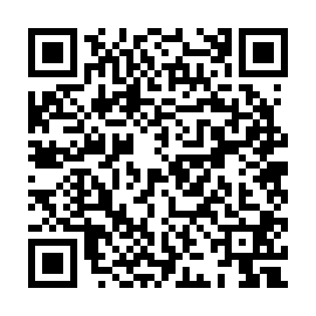 QR code for XJB2009